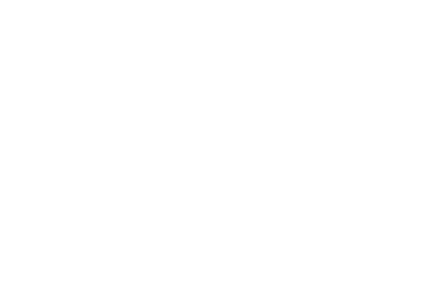 SBFF Official Selection